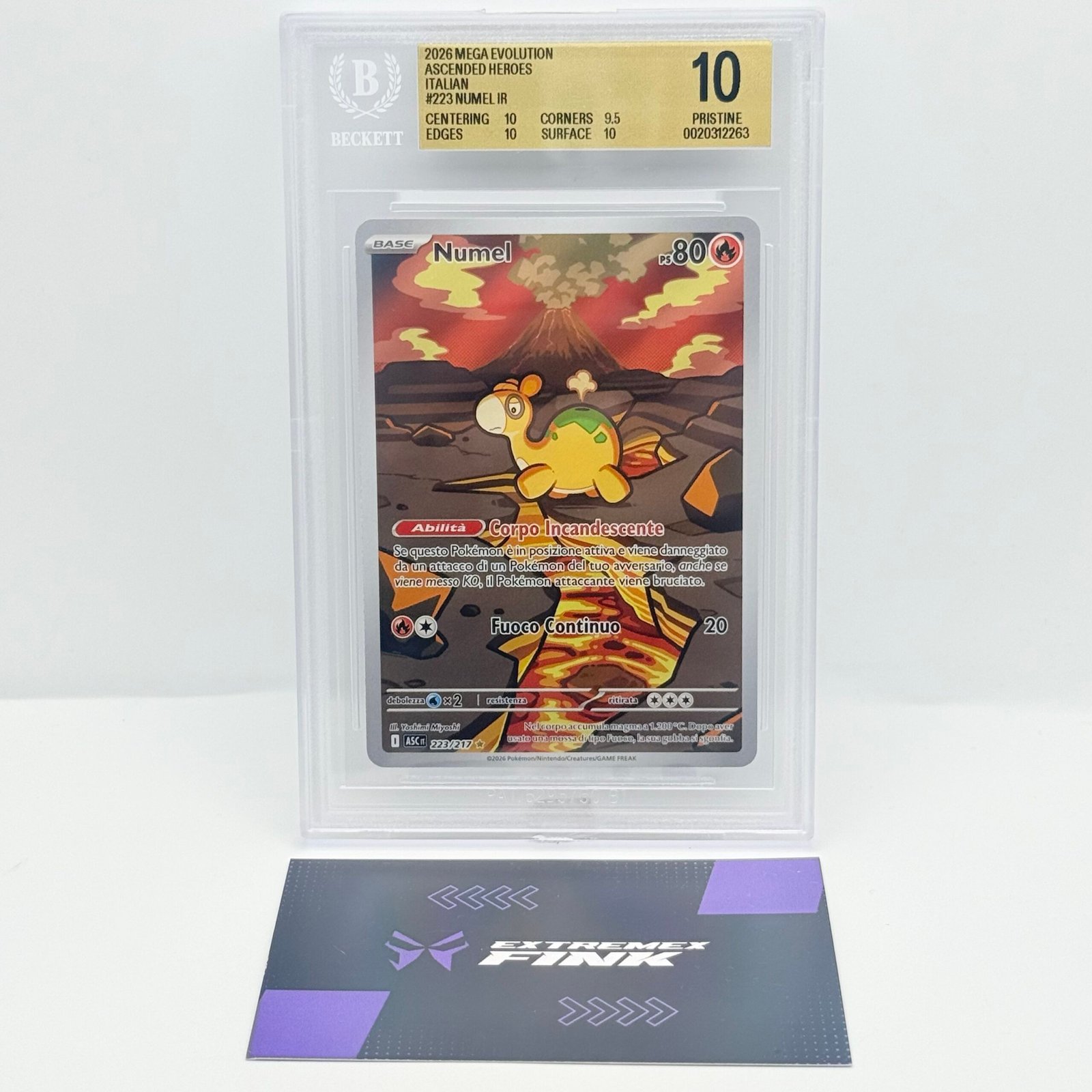 CARTA POKÉMON NUMEL 223/217 - ITA - ASCESA EROICA - BECKET / BGS 10 !